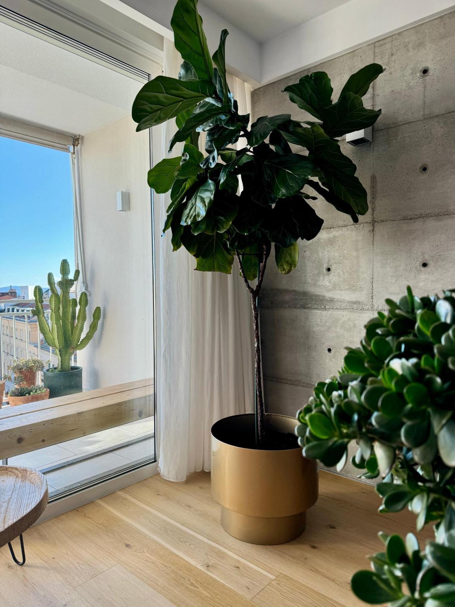 Apartamento D'Art Penthouse Split Exterior foto